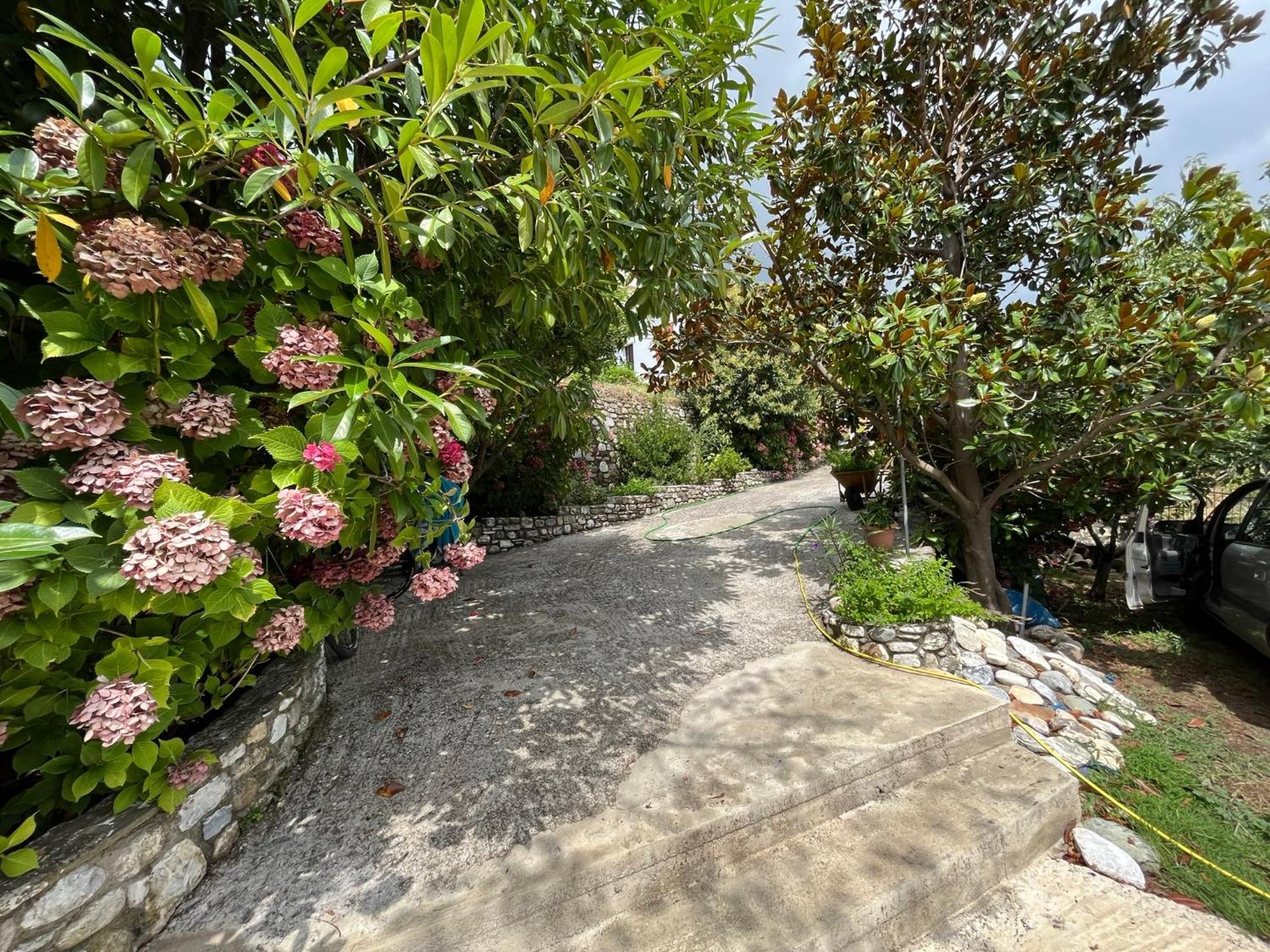 Guest House Pafili ザゴラ エクステリア 写真